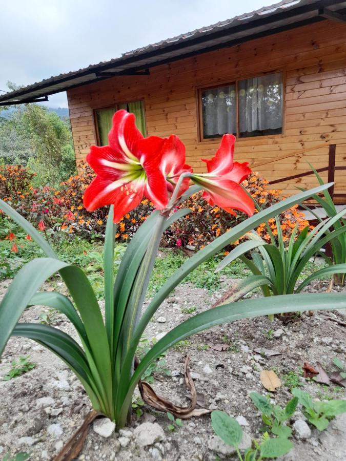 Sendero De Las Aves Миндо Екстериор снимка