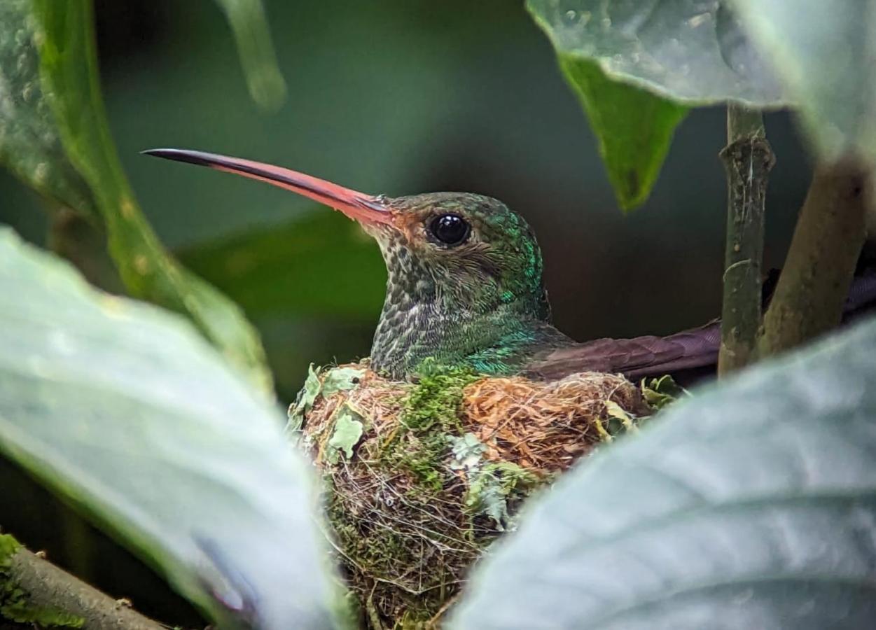 Sendero De Las Aves Миндо Екстериор снимка