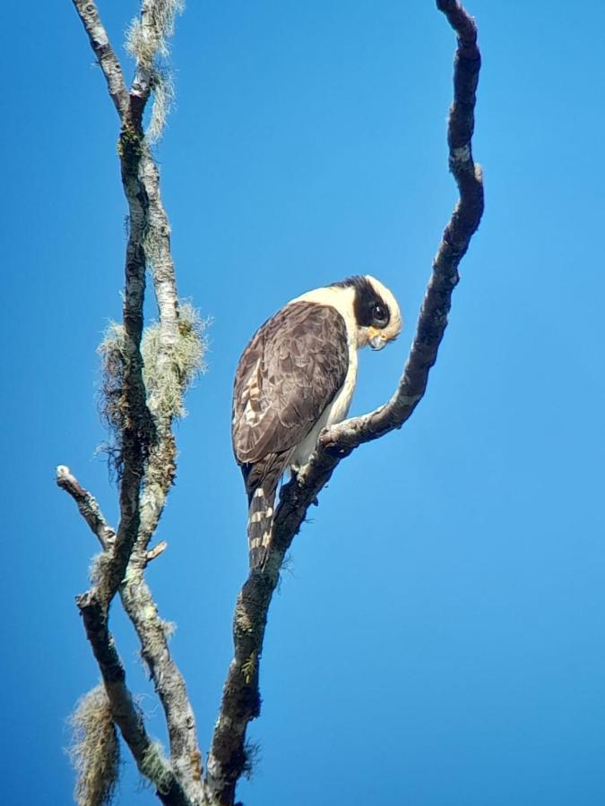 Sendero De Las Aves Миндо Екстериор снимка