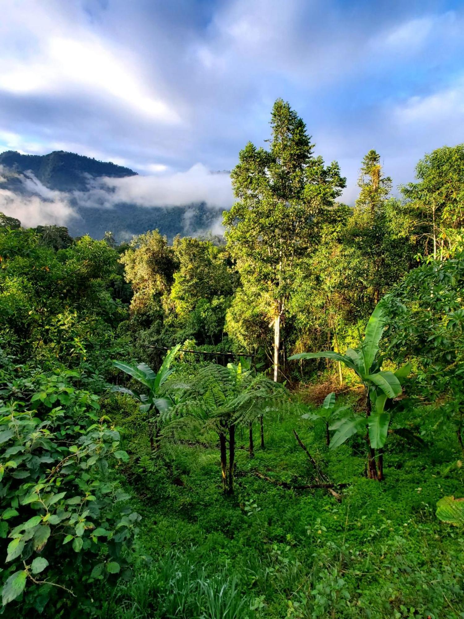 Sendero De Las Aves Миндо Екстериор снимка