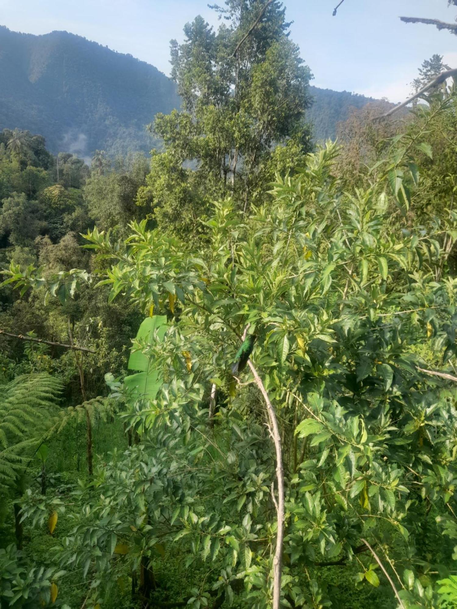 Sendero De Las Aves Миндо Екстериор снимка
