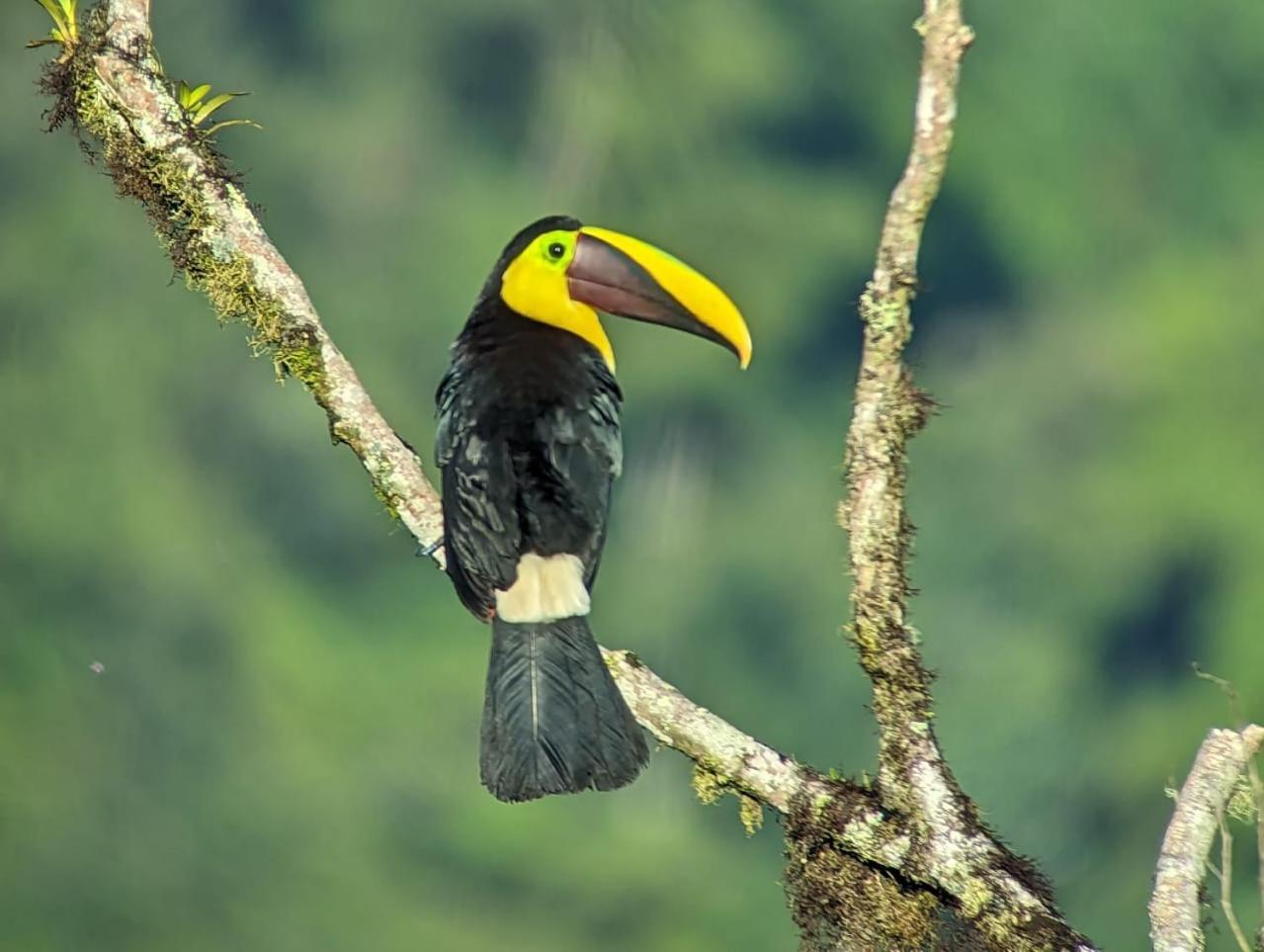 Sendero De Las Aves Миндо Екстериор снимка