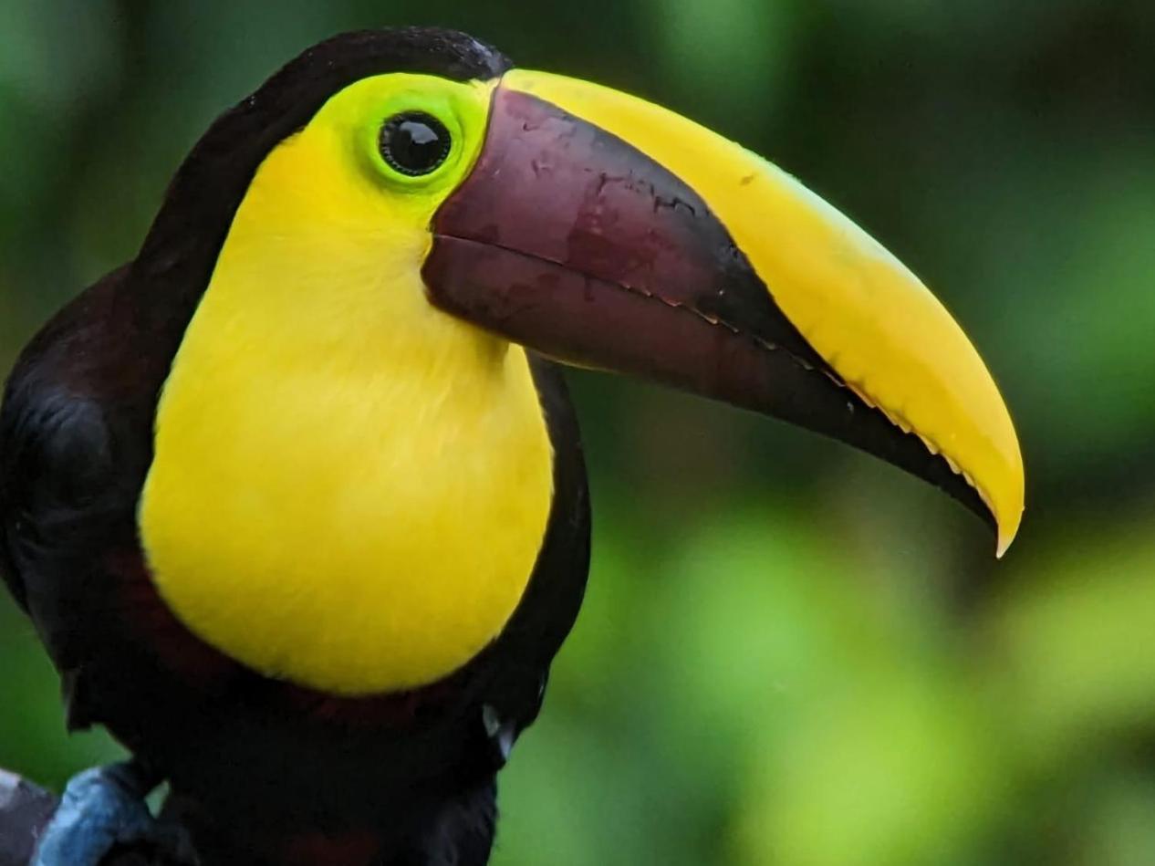 Sendero De Las Aves Миндо Екстериор снимка